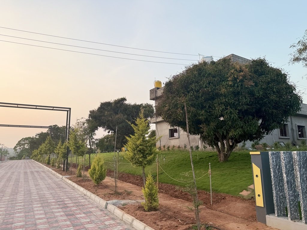 Ozone Farm landscaping and site infrastructure — view 32