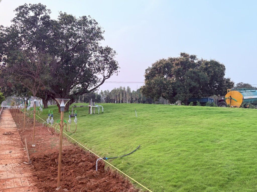Ozone Farm landscaping and site infrastructure — view 37