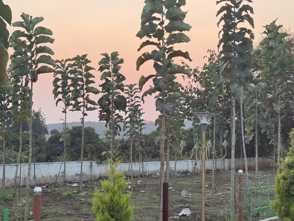 Ozone Farm landscaping and site infrastructure — view 38