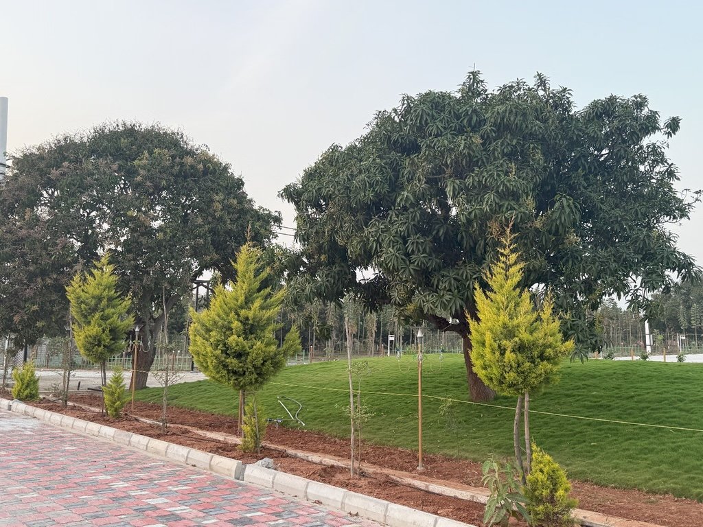 Ozone Farm landscaping and site infrastructure — view 39