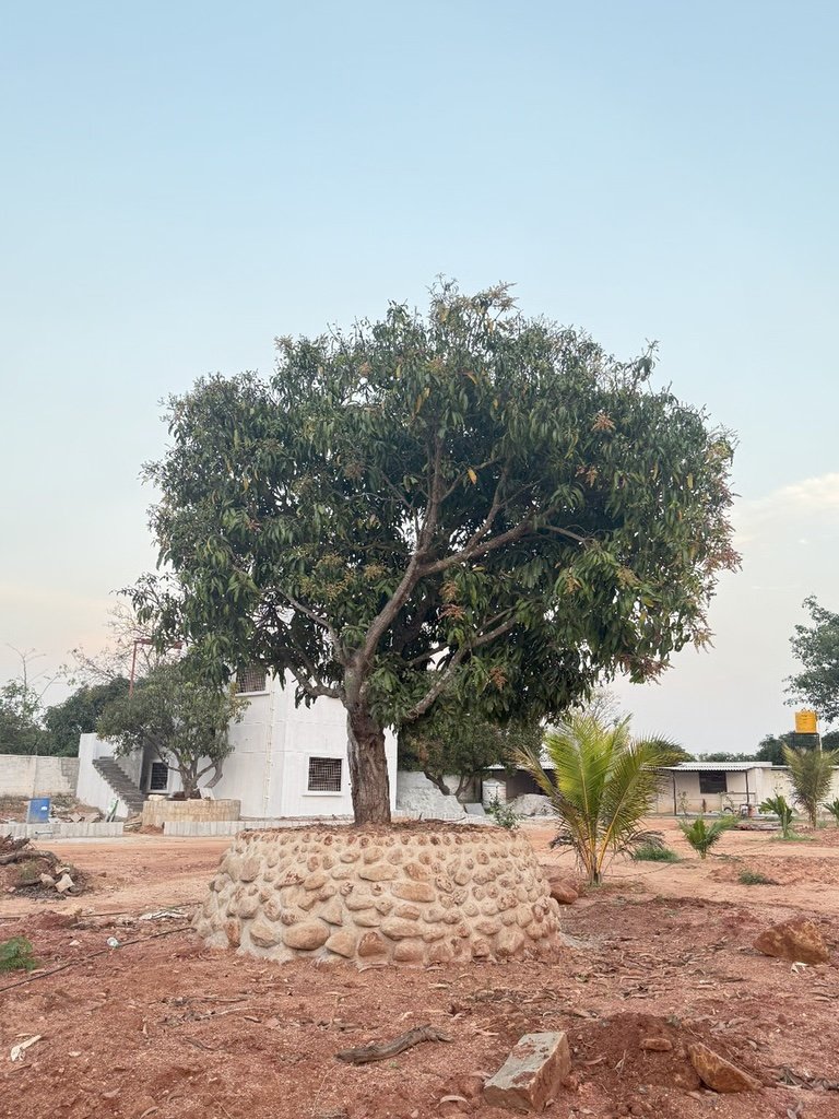 Ozone Farm landscaping and site infrastructure — view 41