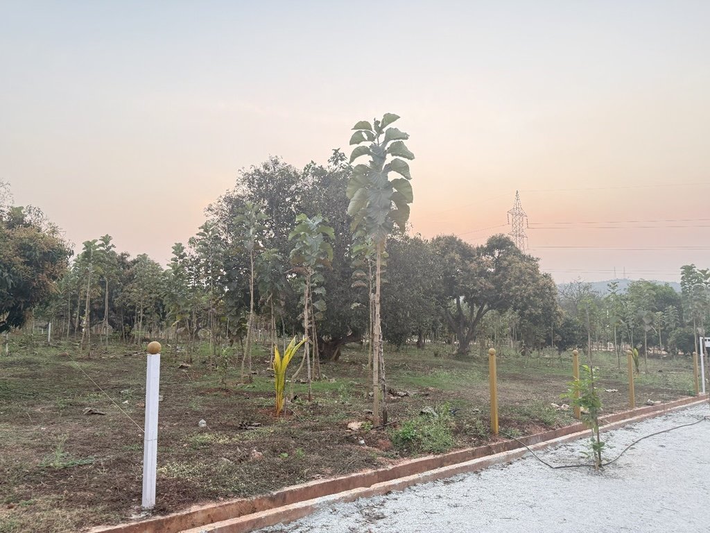Ozone Farm landscaping and site infrastructure — view 46