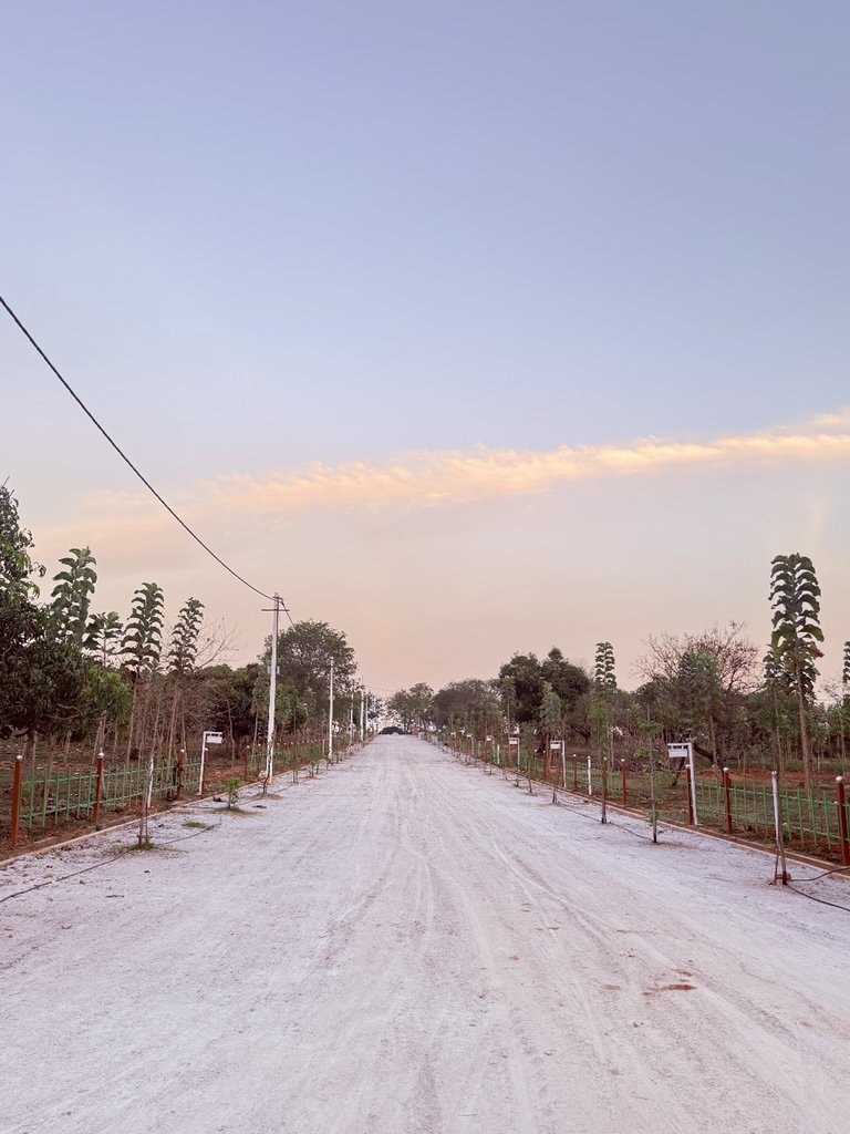 Ozone Farm landscaping and site infrastructure — view 47