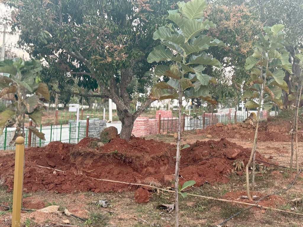 Ozone Farm landscaping and site infrastructure — view 50