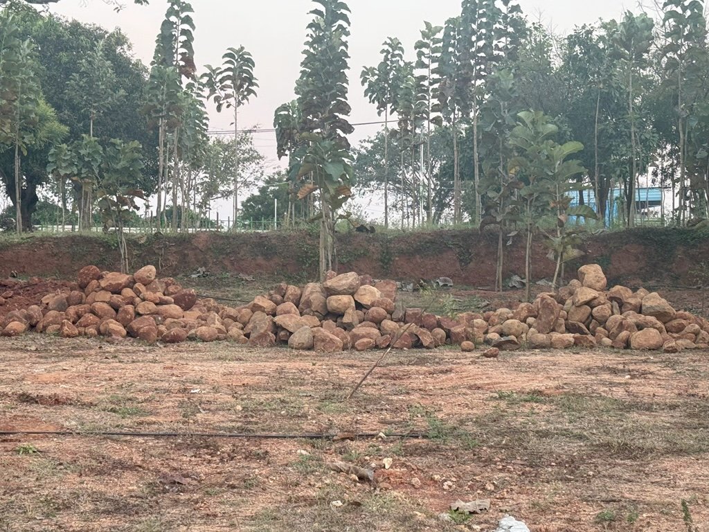 Ozone Farm landscaping and site infrastructure — view 51