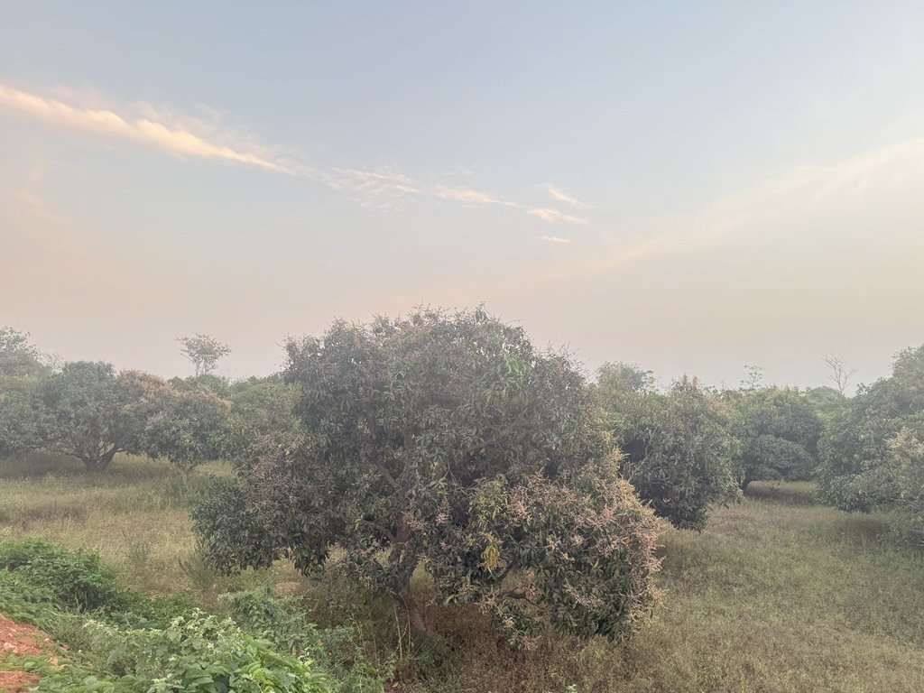 Ozone Farm landscaping and site infrastructure — view 53
