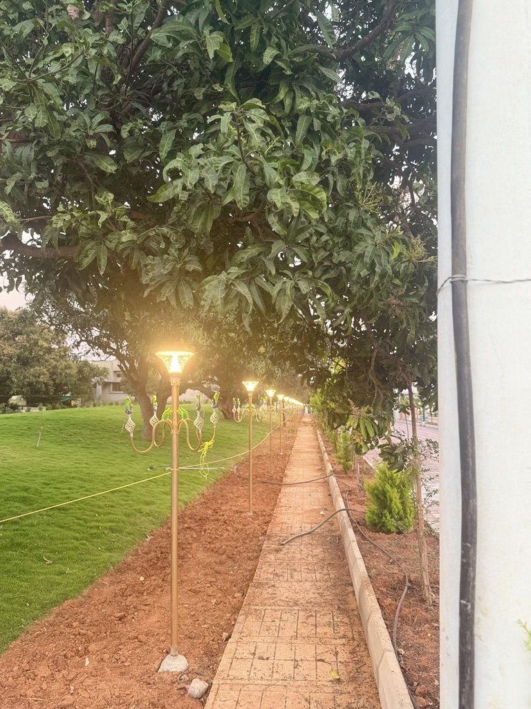 Ozone Farm landscaping and site infrastructure — view 55