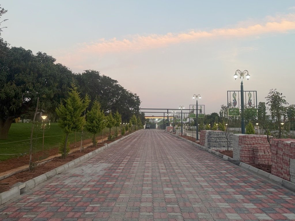 Ozone Farm landscaping and site infrastructure — view 6