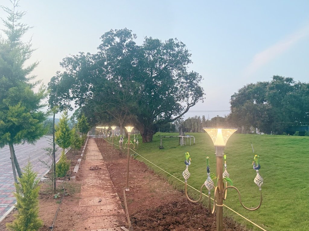 Ozone Farm landscaping and site infrastructure — view 8