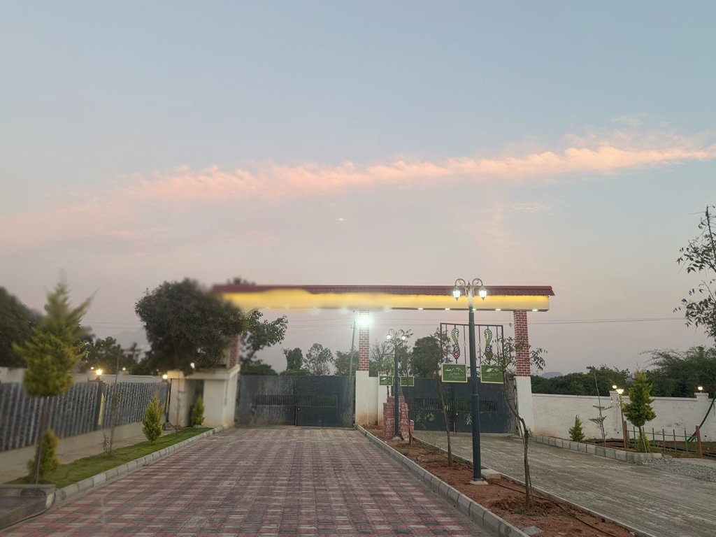 Ozone Farm landscaping and site infrastructure — view 9