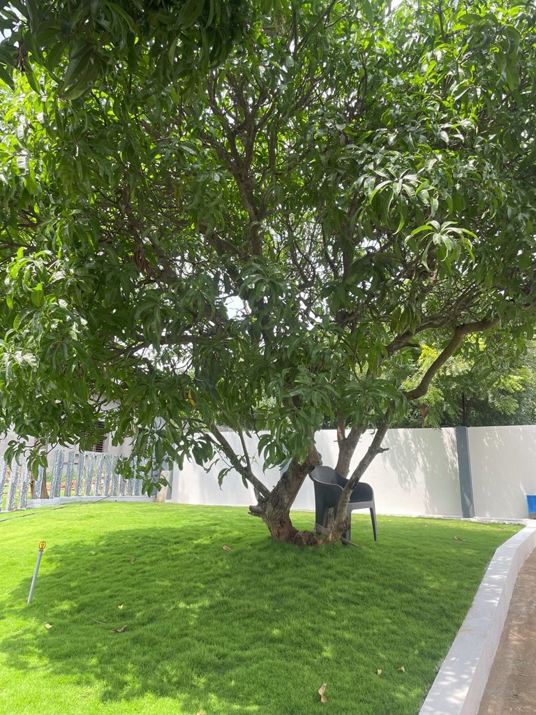 Ozone Farm landscaping and site infrastructure — view 10