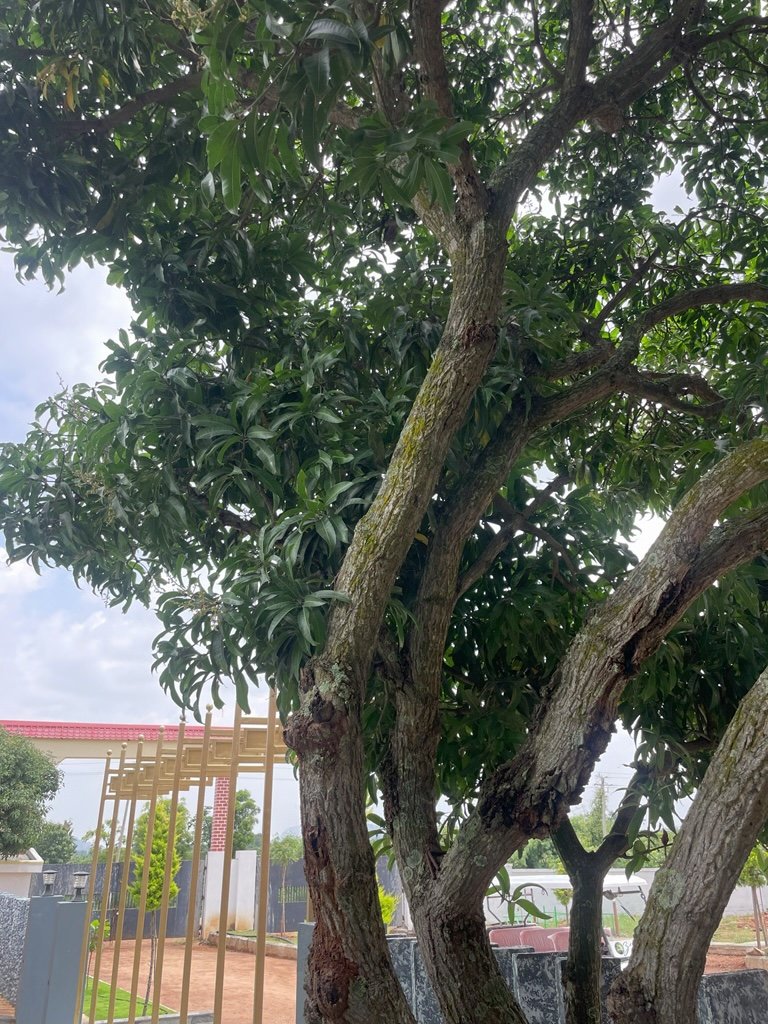 Ozone Farm landscaping and site infrastructure — view 12