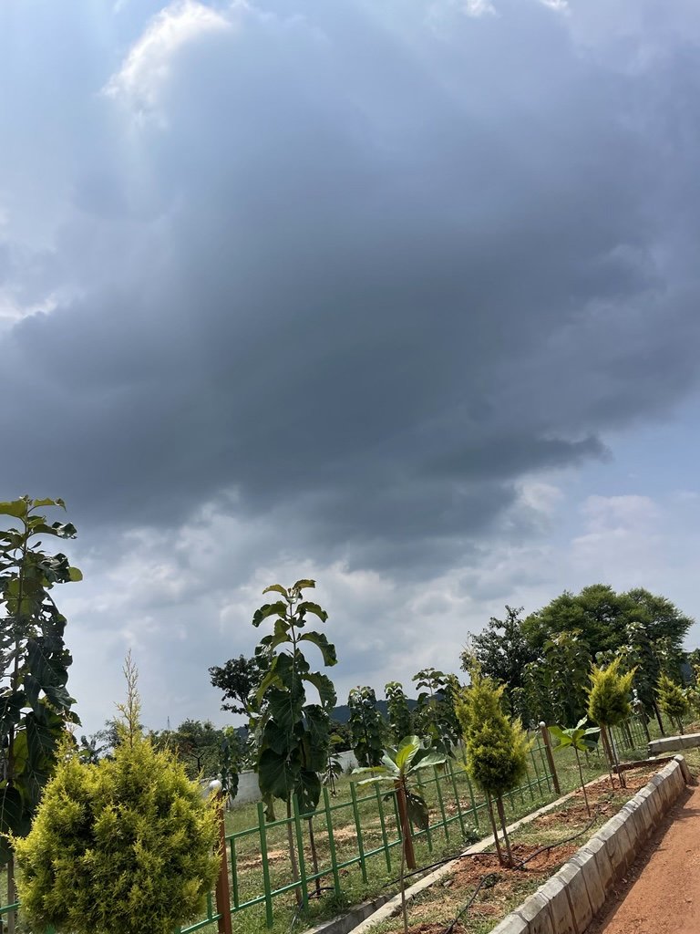 Ozone Farm landscaping and site infrastructure — view 17