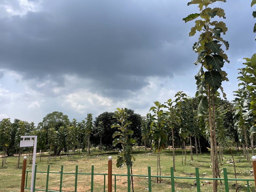 Ozone Farm landscaping and site infrastructure — view 19