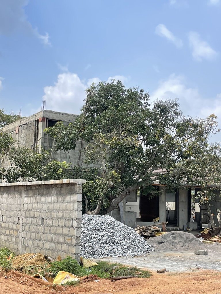 Ozone Farm landscaping and site infrastructure — view 24