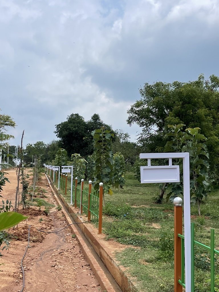 Ozone Farm landscaping and site infrastructure — view 4