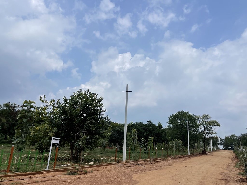 Ozone Farm landscaping and site infrastructure — view 61