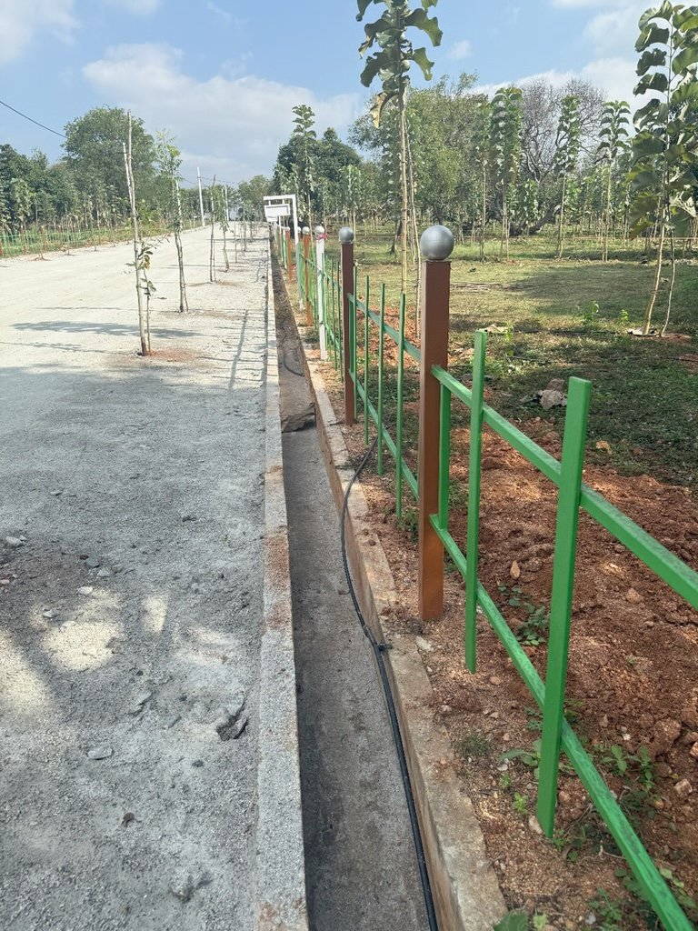 Ozone Farm landscaping and site infrastructure — view 66