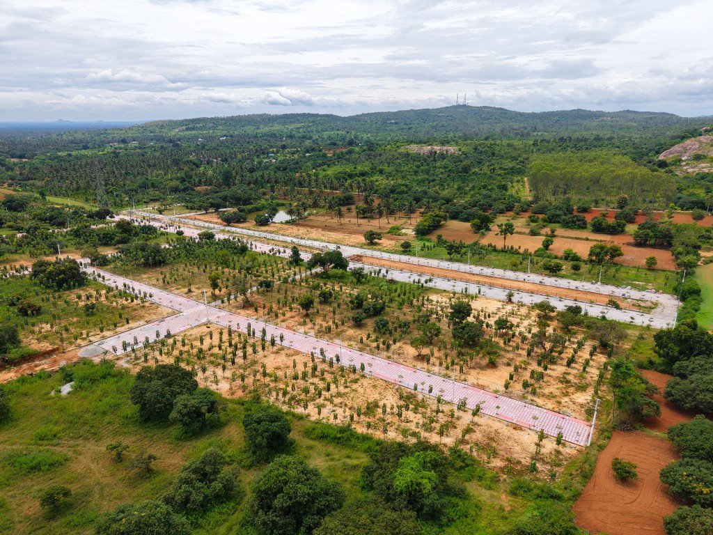 Aerial view of Ozone Farm in Ramanagaram — view 14